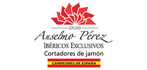 logo_anselmo_perez